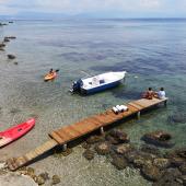 Boards and kayak and boat 