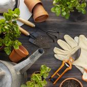 Gardening
