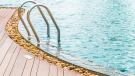 Pool / Jacuzzi maintenance